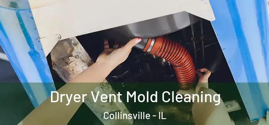  Dryer Vent Mold Cleaning Collinsville - IL