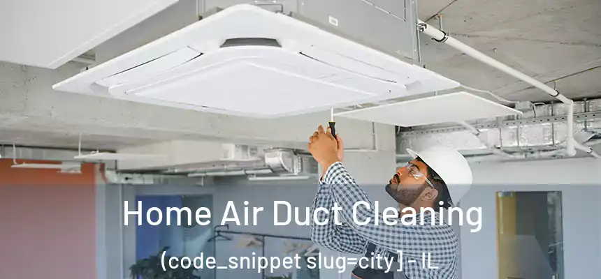  Home Air Duct Cleaning (code_snippet slug=city] - IL