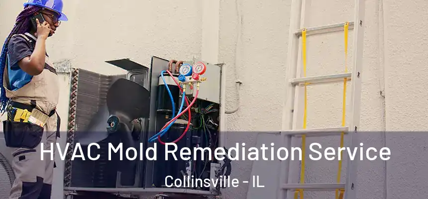  HVAC Mold Remediation Service Collinsville - IL