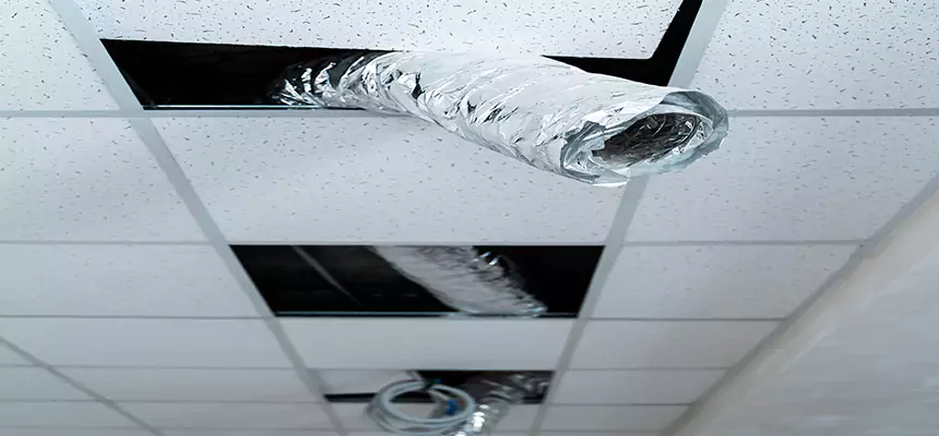 Affordable HVAC Sanitizing After Pest Removal in Collinsville