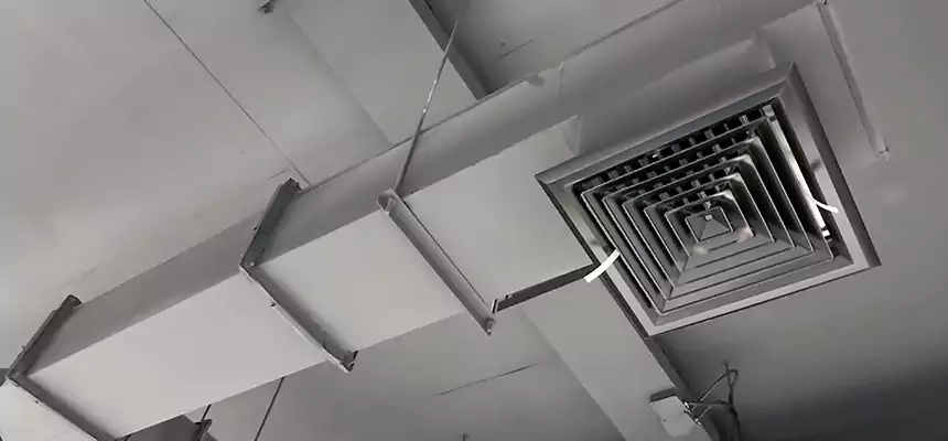 Our Rodent Droppings In Vents Services in Collinsville, IL