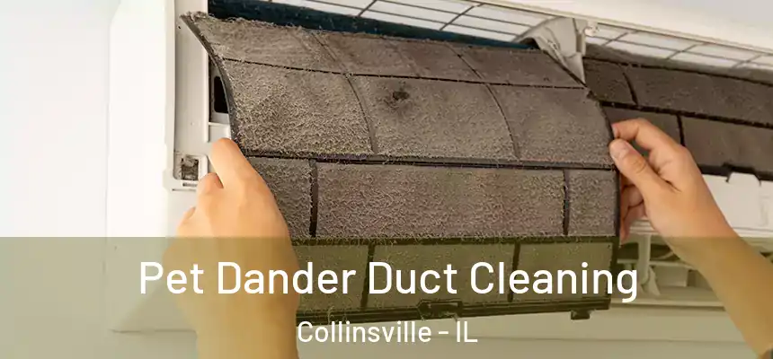 Pet Dander Duct Cleaning Collinsville - IL