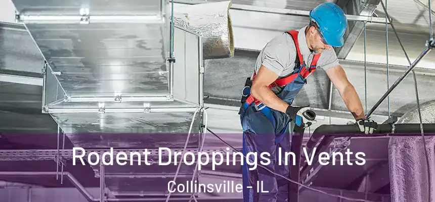  Rodent Droppings In Vents Collinsville - IL