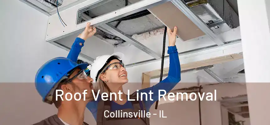  Roof Vent Lint Removal Collinsville - IL