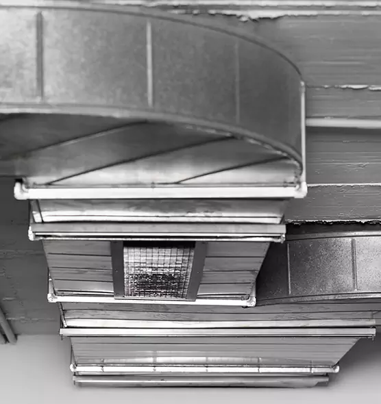 Professional Air Duct Pest Removal in Collinsville, IL