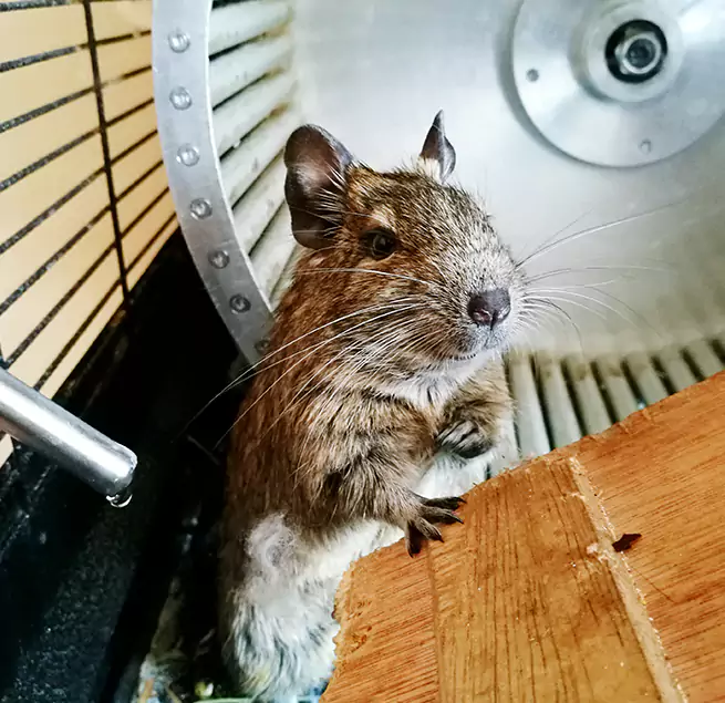 Why Homeowners & Businesses Trust Us Collinsville, IL?