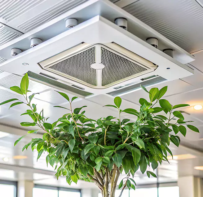 Why Homeowners & Businesses Trust Us in Collinsville, IL?